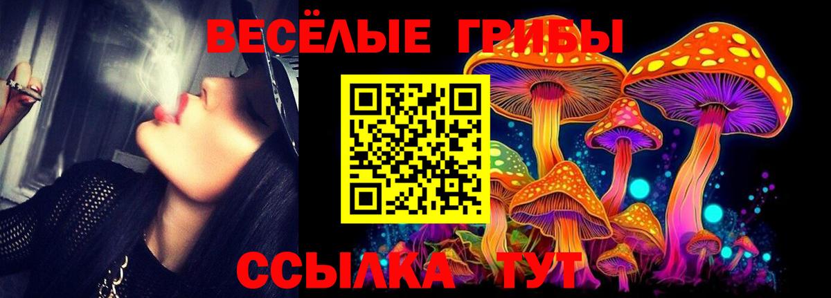 Сатка  Псилоцибиновые грибы мицелий  Вход с VPN 